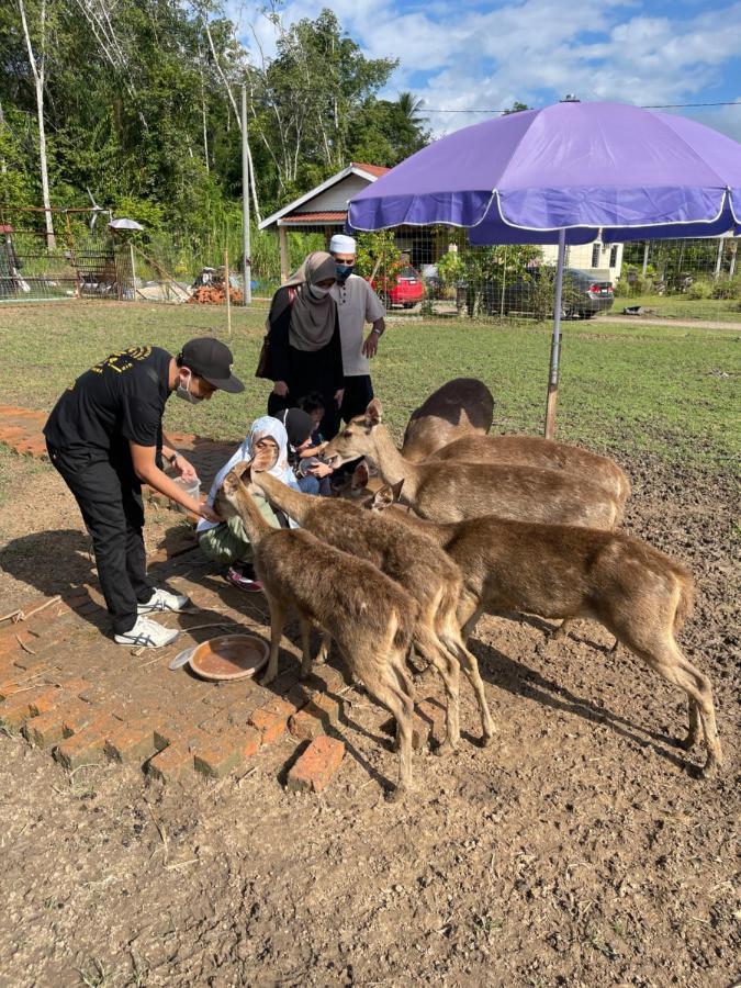 מלון Kampong Ulu Jepai Branda Kampung Sumpitan Lenggong Tiada Sungai מראה חיצוני תמונה