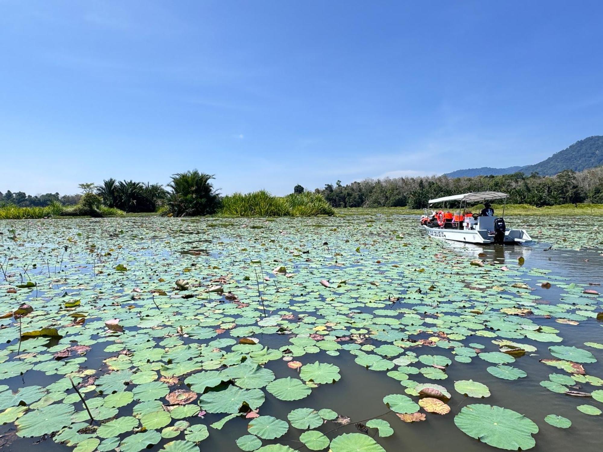מלון Kampong Ulu Jepai Branda Kampung Sumpitan Lenggong Tiada Sungai מראה חיצוני תמונה