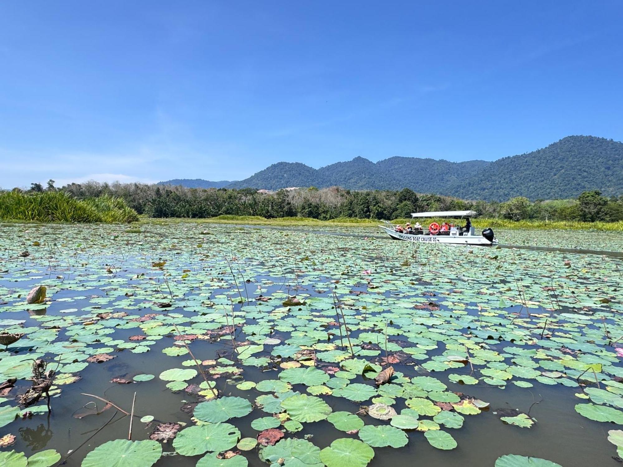 מלון Kampong Ulu Jepai Branda Kampung Sumpitan Lenggong Tiada Sungai מראה חיצוני תמונה